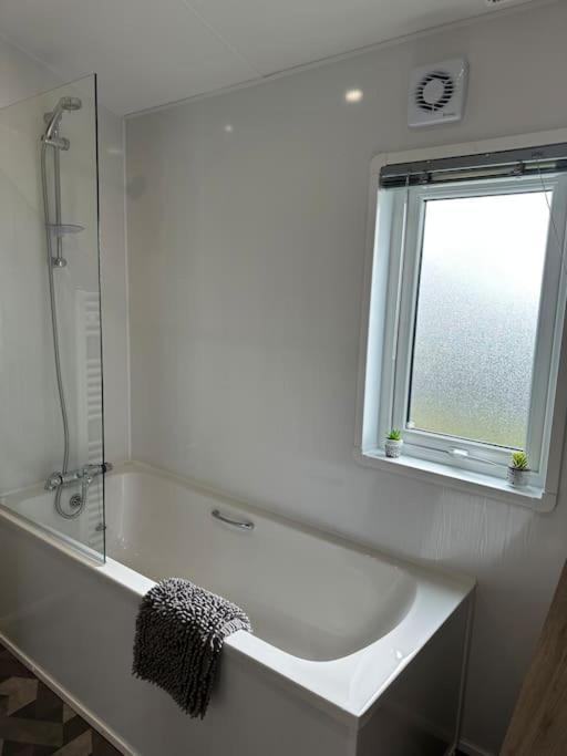 Modern Lodge With Amazing Views New Quay Eksteriør billede